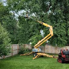 Best Lawn Mowing  in Brunswick, GA