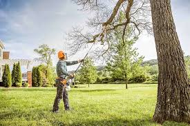 How Our Tree Care Process Works  in  Brunswick, GA