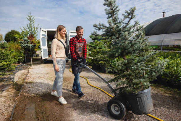 Best Commercial Tree Services  in Brunswick, GA